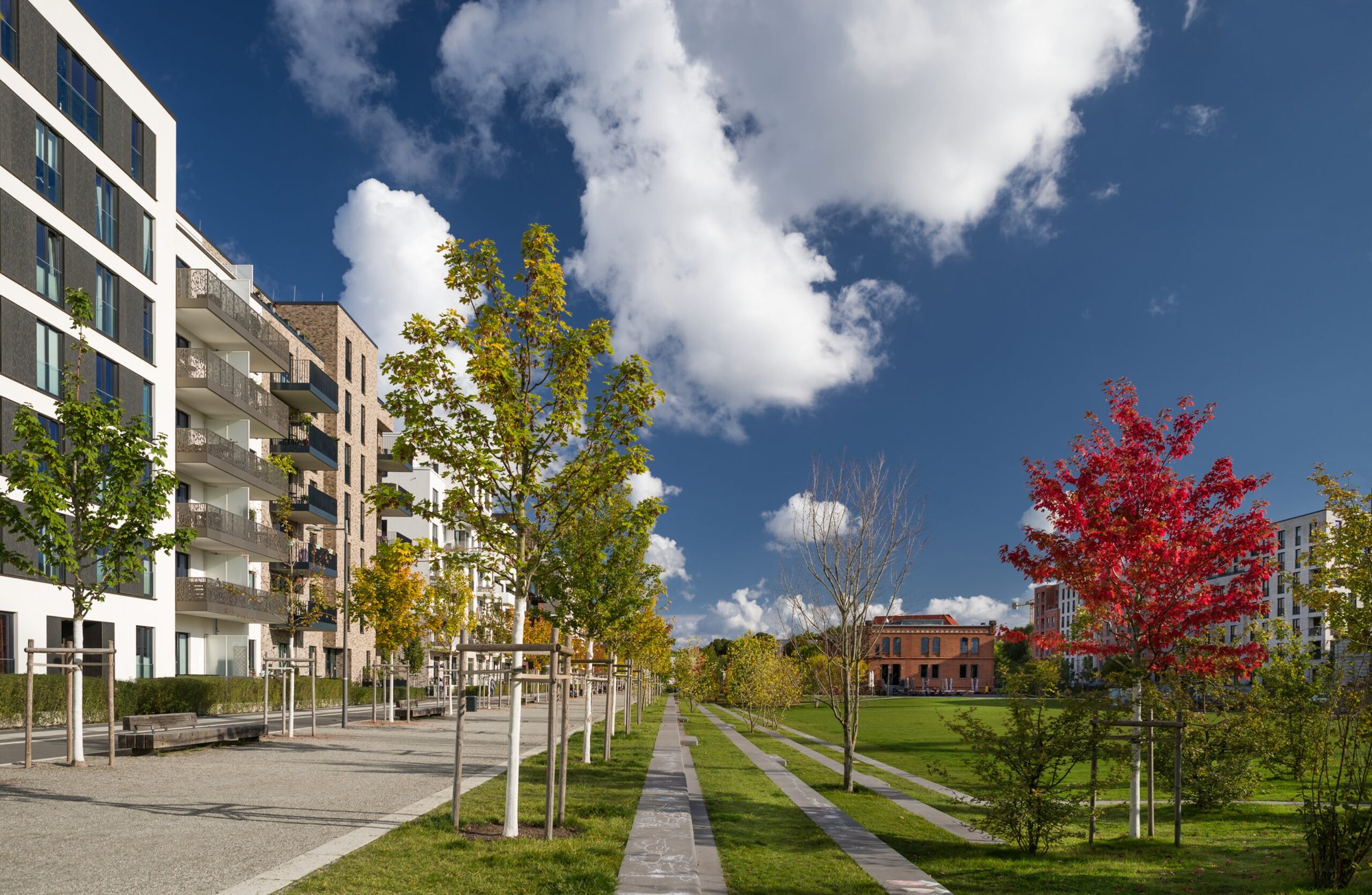 AdobeStock_385290496-scaled